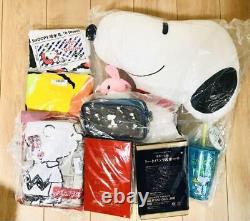 Snoopy Coussin Serviette Poche Sac Tumbler Charlie Brown Woodstock Anime Rare Lot 8