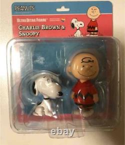 Snoopy Et Charlie Brown Figure Intérieur