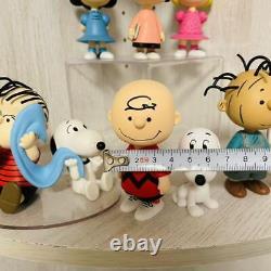 Snoopy Figure Charlie Brown Arachide Ensoleillée