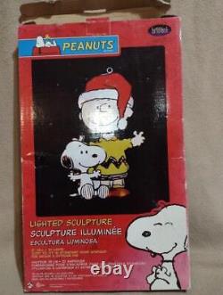 Snoopy Noël Charlie Brown Illumination Lumière À L'intérieur Et À L'extérieur