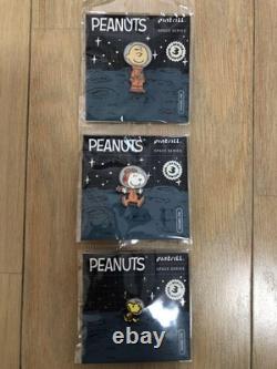 Snoopy m24H Charlie Brown Woodstock Astronautes de la NASA Batch