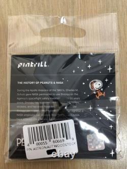 Snoopy m24H Charlie Brown Woodstock Astronautes de la NASA Batch