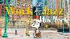 Snoopy Travaille à New York : Des Rythmes Jazz Inspirants Pour La Concentration Et La Productivité