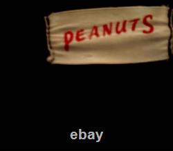 Sweatshirt Peanuts Snoopy Charlie Brown taille M années 80 90