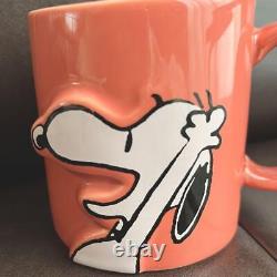 Thé De L'après-midi X Peanuts 70e Anniversaire Snoopy Charlie Brown Mug 2 Sets Nouveau