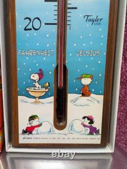 Thermomètre vintage Snoopy Peanuts des années 70 par Sybron/Taylor Charlie Brown