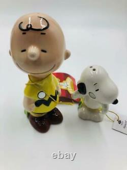 Tourteaux Snoopy Charlie Brown Assaisonnement